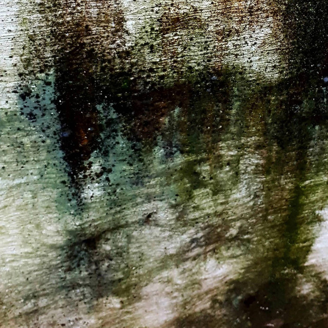Album artwork for Octavio - Moss