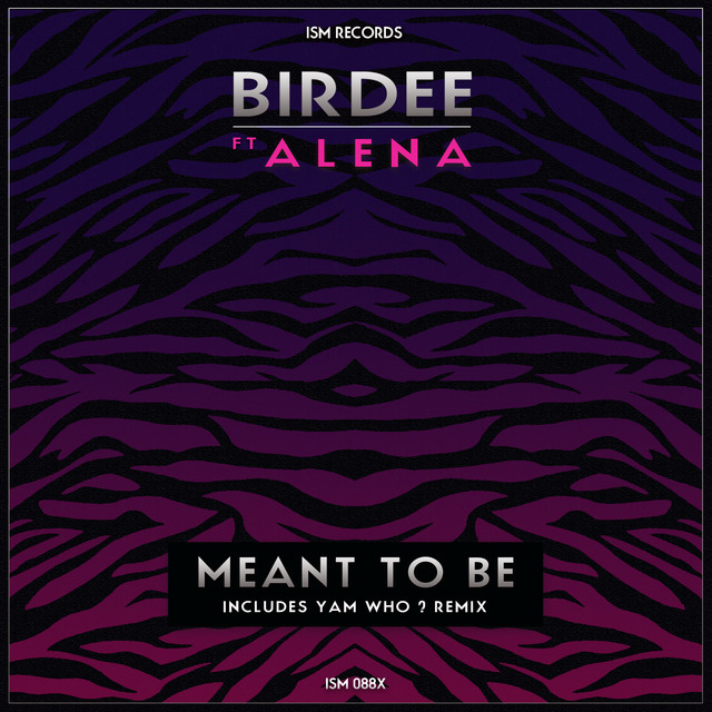 Album artwork for Birdee - Meant to Be