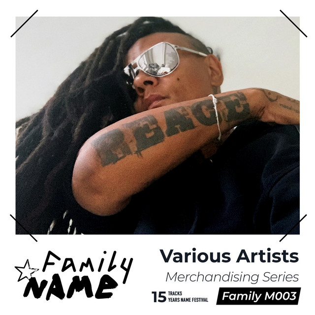 Album artwork for Various Artists - Merchandising Series - 15 years NAME Festival